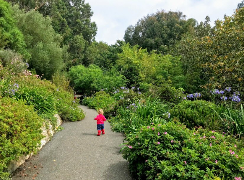 Ventnor Botanic Garden, United Kingdom